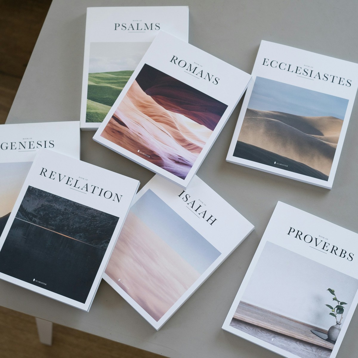 Portfolio Showcase 1